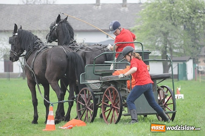 Zdjęcie w galerii na portalu naszwodzislaw.com: Wodzisławianie mistrzami w powożeniu wiadomości z regionu