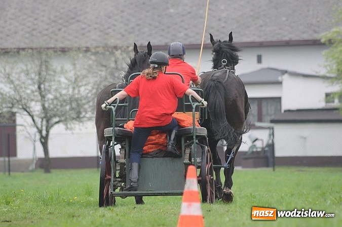 Zdjęcie w galerii na portalu naszwodzislaw.com: Wodzisławianie mistrzami w powożeniu wiadomości z regionu