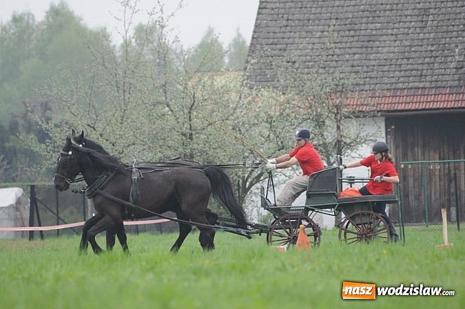 Zdjęcie w galerii na portalu naszwodzislaw.com: Wodzisławianie mistrzami w powożeniu wiadomości z regionu
