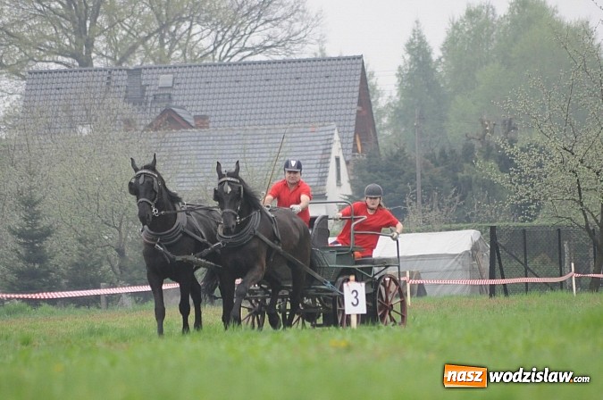 Zdjęcie w galerii na portalu naszwodzislaw.com: Wodzisławianie mistrzami w powożeniu wiadomości z regionu