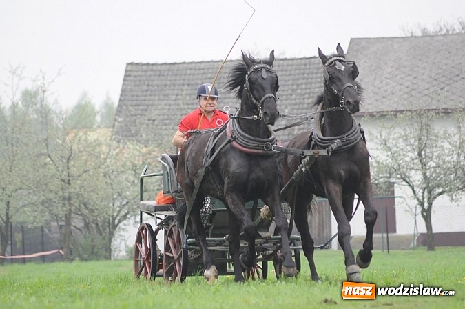 Zdjęcie w galerii na portalu naszwodzislaw.com: Wodzisławianie mistrzami w powożeniu wiadomości z regionu