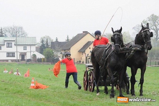 Zdjęcie w galerii na portalu naszwodzislaw.com: Wodzisławianie mistrzami w powożeniu wiadomości z regionu