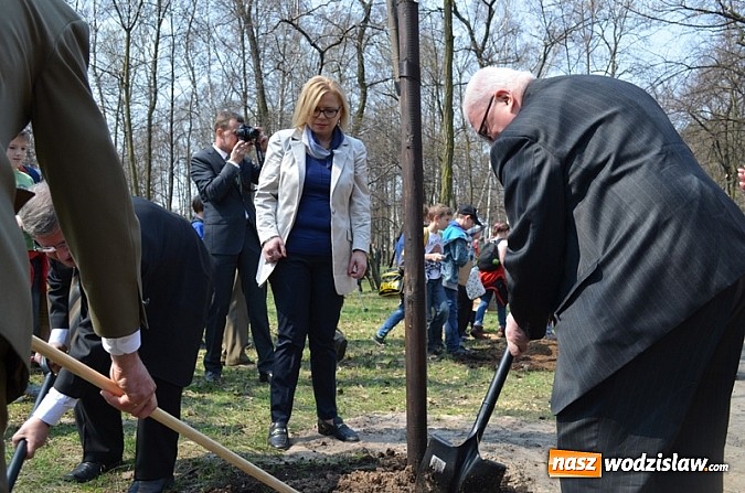 Zdjęcie w galerii na portalu naszwodzislaw.com: Fundusz na Święcie Lasu wiadomości z regionu