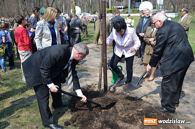 Zdjęcie w galerii na portalu naszwodzislaw.com: Fundusz na Święcie Lasu wiadomości z regionu