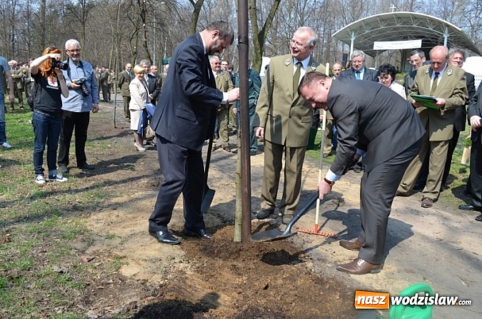 Zdjęcie w galerii na portalu naszwodzislaw.com: Fundusz na Święcie Lasu wiadomości z regionu