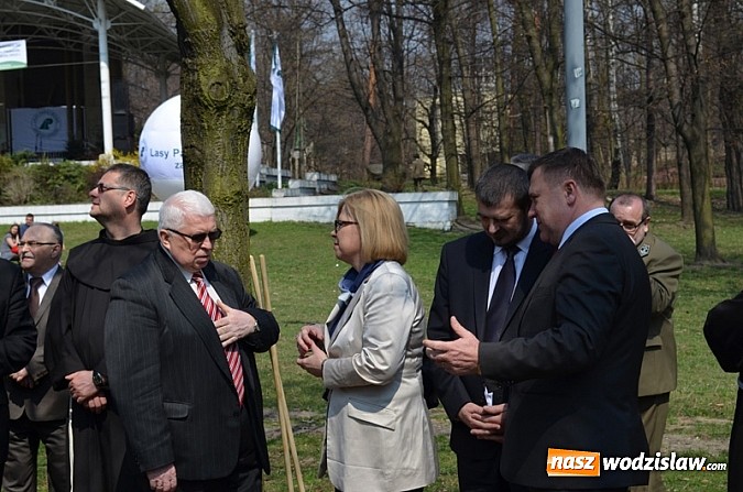 Zdjęcie w galerii na portalu naszwodzislaw.com: Fundusz na Święcie Lasu wiadomości z regionu