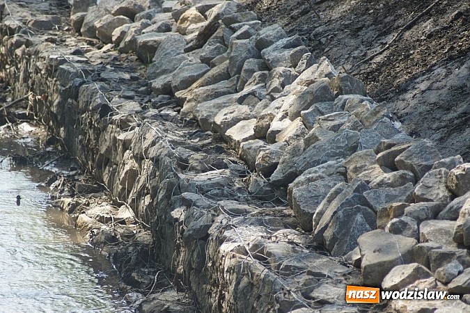 Zdjęcie w galerii na portalu naszwodzislaw.com: Brzegi Mszanki nie do poznania wiadomości z regionu