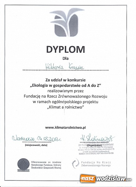 Zdjęcie w galerii na portalu naszwodzislaw.com: Kolejny sukces uczniów ZST w Wodzisławiu Śl. wiadomości z regionu