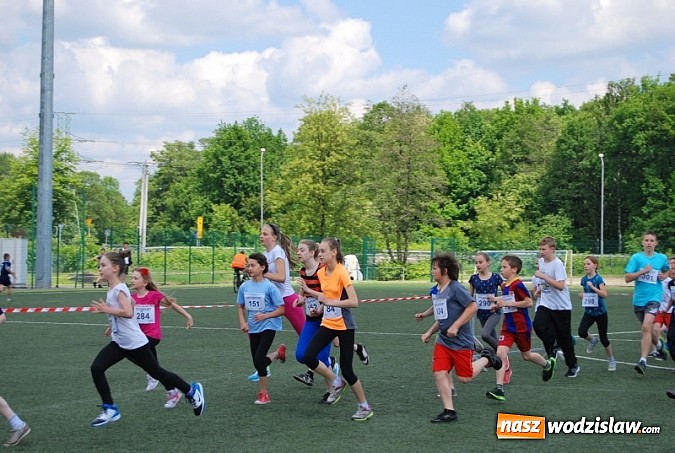Zdjęcie w galerii na portalu naszwodzislaw.com: Ogólnopolski Bieg Wiosny w Rybniku wiadomości z regionu