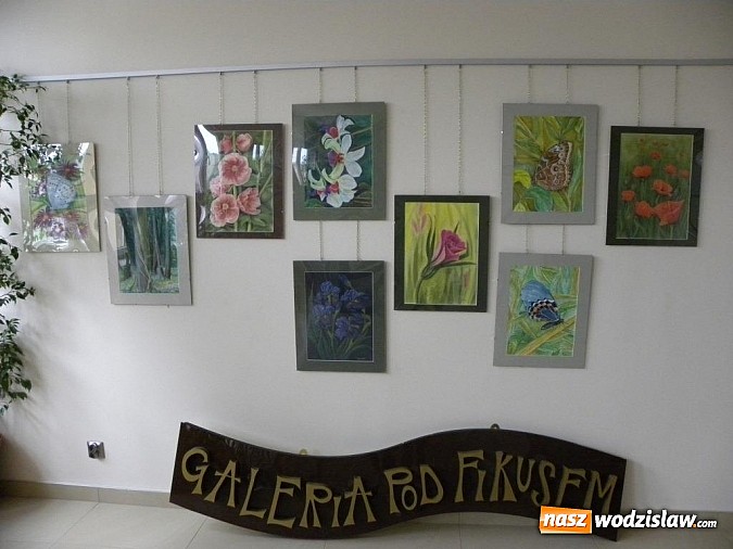 Zdjęcie w galerii na portalu naszwodzislaw.com: „Kolory przyrody” w Galerii pod Fikusem wiadomości z regionu
