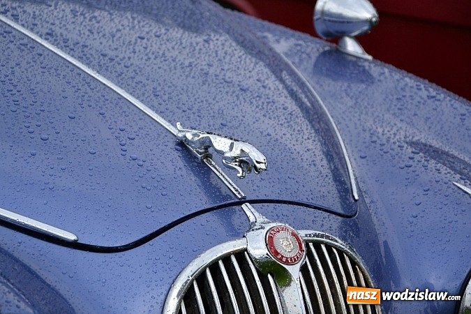 Zdjęcie w galerii na portalu naszwodzislaw.com: Jaguar z Rybnika najpiękniejszym wozem zlotu wiadomości z regionu