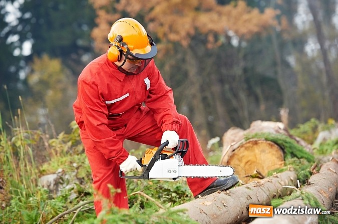 Zdjęcie w galerii na portalu naszwodzislaw.com: Chroń swój słuch przed hałasem wiadomości z regionu