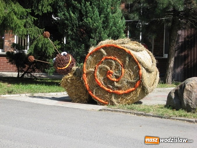 Zdjęcie w galerii na portalu naszwodzislaw.com: Jak maszyny w polu zawiodą, to gospodynie chętnie pomogą! wiadomości z regionu