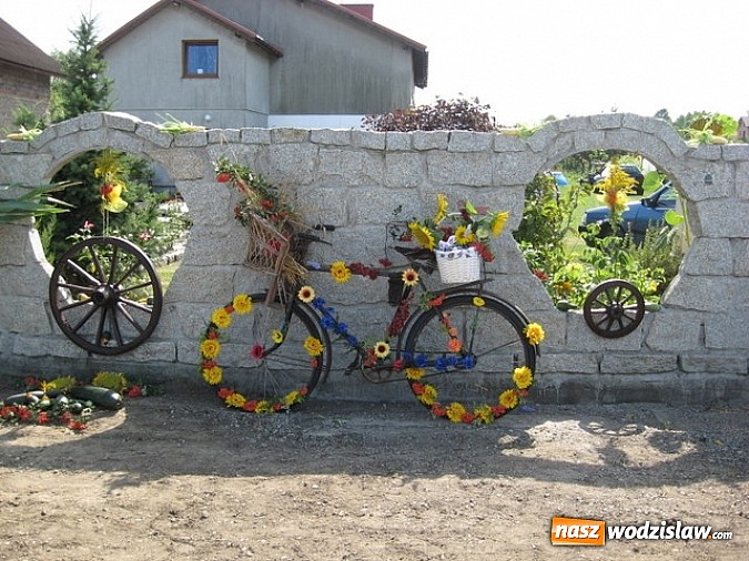 Zdjęcie w galerii na portalu naszwodzislaw.com: Jak maszyny w polu zawiodą, to gospodynie chętnie pomogą! wiadomości z regionu