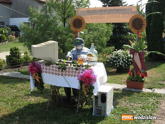 Zdjęcie w galerii na portalu naszwodzislaw.com: Jak maszyny w polu zawiodą, to gospodynie chętnie pomogą! wiadomości z regionu