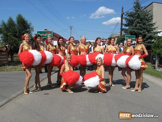 Zdjęcie w galerii na portalu naszwodzislaw.com: Jak maszyny w polu zawiodą, to gospodynie chętnie pomogą! wiadomości z regionu