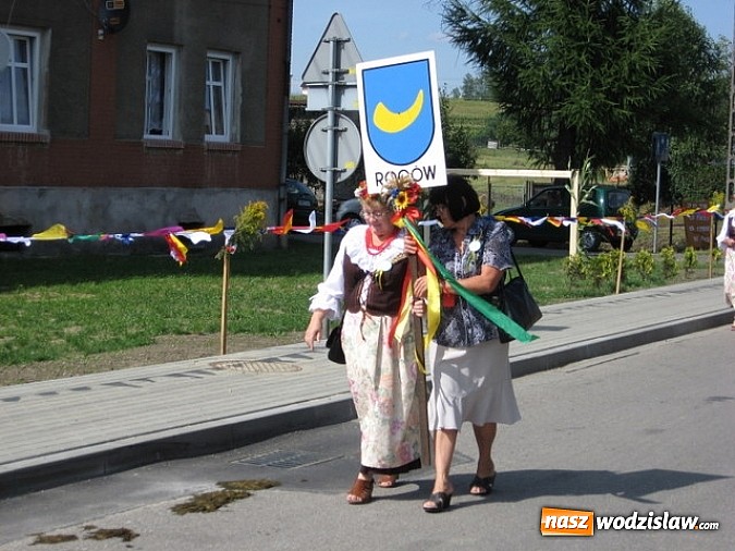 Zdjęcie w galerii na portalu naszwodzislaw.com: Jak maszyny w polu zawiodą, to gospodynie chętnie pomogą! wiadomości z regionu