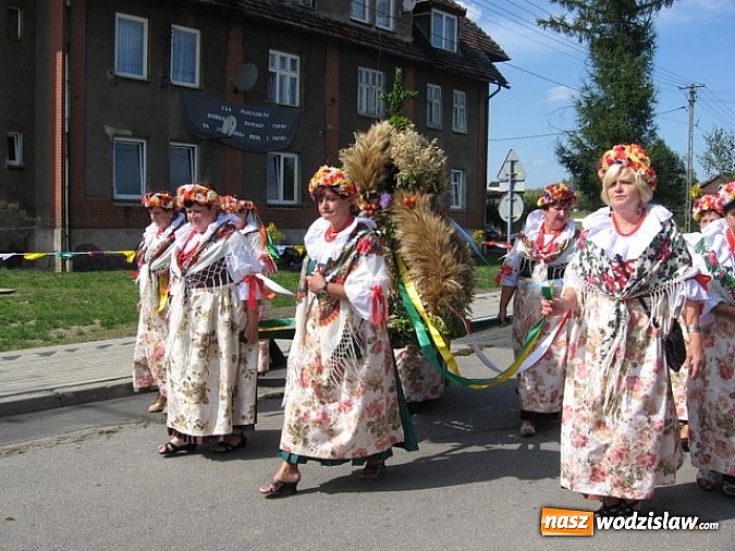 Zdjęcie w galerii na portalu naszwodzislaw.com: Jak maszyny w polu zawiodą, to gospodynie chętnie pomogą! wiadomości z regionu