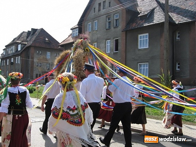 Zdjęcie w galerii na portalu naszwodzislaw.com: Jak maszyny w polu zawiodą, to gospodynie chętnie pomogą! wiadomości z regionu
