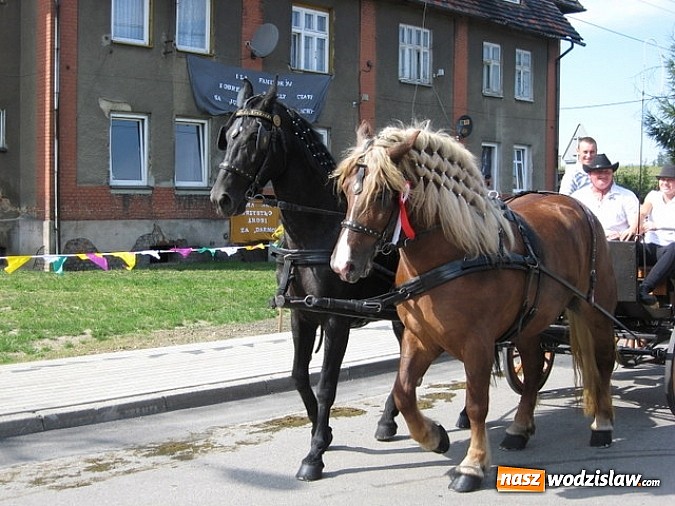 Zdjęcie w galerii na portalu naszwodzislaw.com: Jak maszyny w polu zawiodą, to gospodynie chętnie pomogą! wiadomości z regionu