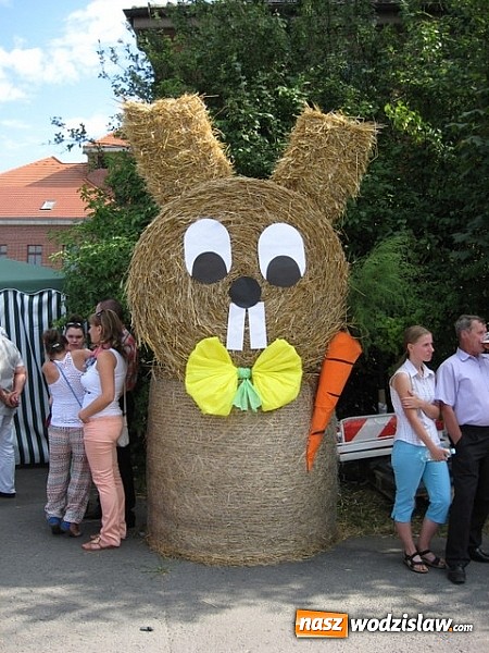 Zdjęcie w galerii na portalu naszwodzislaw.com: Jak maszyny w polu zawiodą, to gospodynie chętnie pomogą! wiadomości z regionu