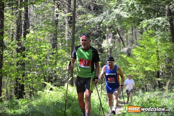 Zdjęcie w galerii na portalu naszwodzislaw.com: I Mistrzostwa Powiatu Wodzisławskiego w Nordic Walking wiadomości z regionu