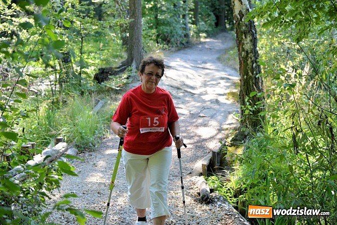 Zdjęcie w galerii na portalu naszwodzislaw.com: I Mistrzostwa Powiatu Wodzisławskiego w Nordic Walking wiadomości z regionu