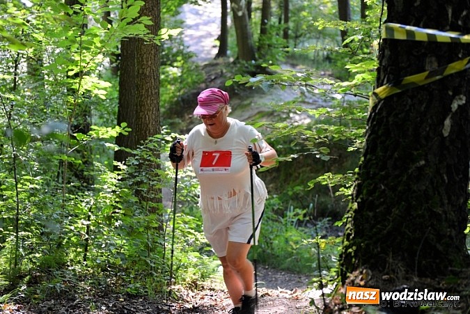 Zdjęcie w galerii na portalu naszwodzislaw.com: I Mistrzostwa Powiatu Wodzisławskiego w Nordic Walking wiadomości z regionu