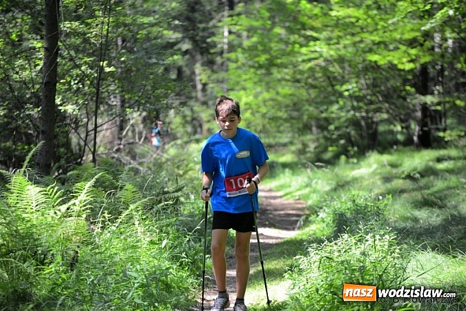 Zdjęcie w galerii na portalu naszwodzislaw.com: I Mistrzostwa Powiatu Wodzisławskiego w Nordic Walking wiadomości z regionu
