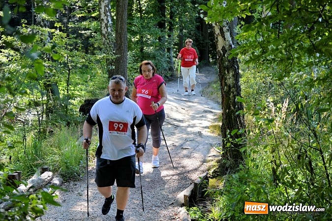 Zdjęcie w galerii na portalu naszwodzislaw.com: I Mistrzostwa Powiatu Wodzisławskiego w Nordic Walking wiadomości z regionu