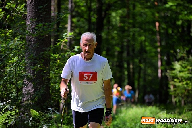 Zdjęcie w galerii na portalu naszwodzislaw.com: I Mistrzostwa Powiatu Wodzisławskiego w Nordic Walking wiadomości z regionu