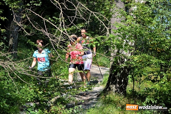 Zdjęcie w galerii na portalu naszwodzislaw.com: I Mistrzostwa Powiatu Wodzisławskiego w Nordic Walking wiadomości z regionu