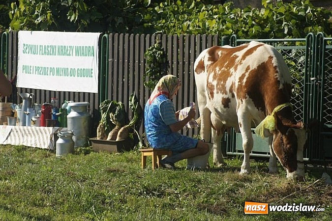 Zdjęcie w galerii na portalu naszwodzislaw.com: Doda i Teresa Werner przyciągnęły tłumy wiadomości z regionu