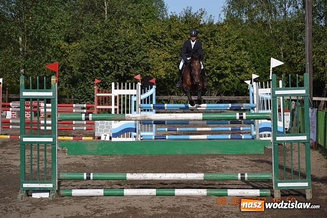 Zdjęcie w galerii na portalu naszwodzislaw.com: Zawody konne w skokach przez przeszkody za nami wiadomości z regionu