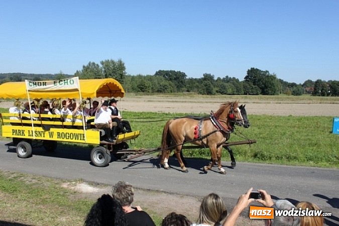 Zdjęcie w galerii na portalu naszwodzislaw.com: Dożynki Gminne w Syryni już za nami wiadomości z regionu