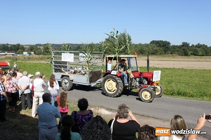Zdjęcie w galerii na portalu naszwodzislaw.com: Dożynki Gminne w Syryni już za nami wiadomości z regionu