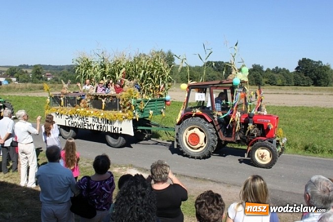 Zdjęcie w galerii na portalu naszwodzislaw.com: Dożynki Gminne w Syryni już za nami wiadomości z regionu