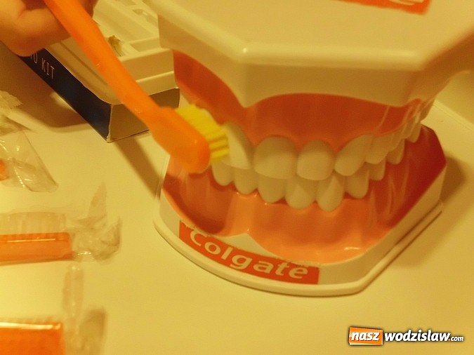 Zdjęcie w galerii na portalu naszwodzislaw.com: Rola i zadania higienistki stomatologicznej... wiadomości z regionu