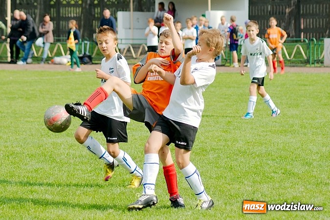 Zdjęcie w galerii na portalu naszwodzislaw.com: Skrzyszowska Gwiazda rozbita w Raciborzu wiadomości z regionu