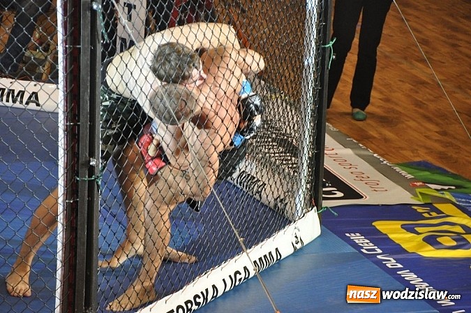 Zdjęcie w galerii na portalu naszwodzislaw.com: Adrenalina Fight już za nami wiadomości z regionu