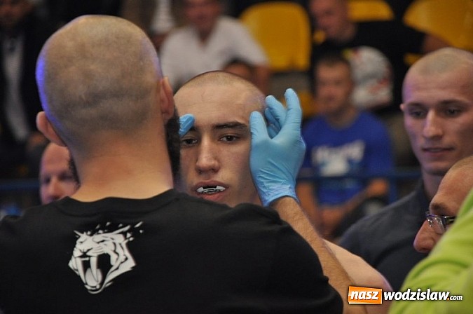 Zdjęcie w galerii na portalu naszwodzislaw.com: Adrenalina Fight już za nami wiadomości z regionu