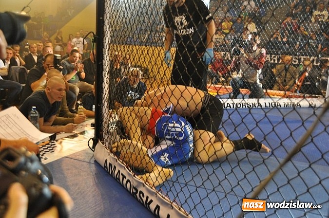 Zdjęcie w galerii na portalu naszwodzislaw.com: Adrenalina Fight już za nami wiadomości z regionu