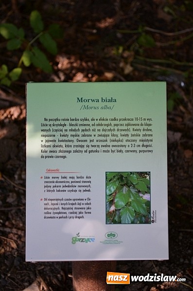 Zdjęcie w galerii na portalu naszwodzislaw.com: Ścieżka przyrodniczo - edukacyjna w Czyżowicach wiadomości z regionu