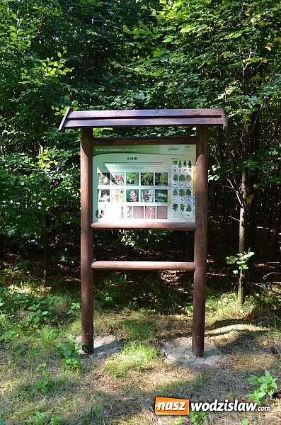 Zdjęcie w galerii na portalu naszwodzislaw.com: Ścieżka przyrodniczo - edukacyjna w Czyżowicach wiadomości z regionu