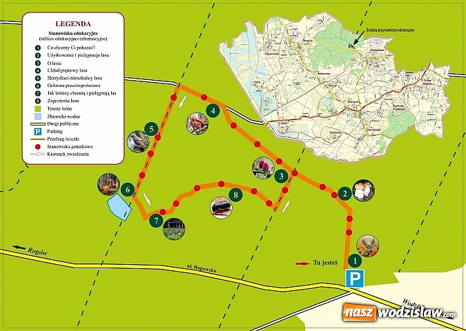 Zdjęcie w galerii na portalu naszwodzislaw.com: Ścieżka przyrodniczo - edukacyjna w Czyżowicach wiadomości z regionu