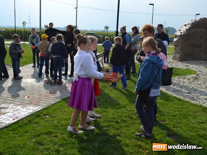 Zdjęcie w galerii na portalu naszwodzislaw.com: Aleja klonów i plac zabaw przy Ośrodku Nautica wiadomości z regionu