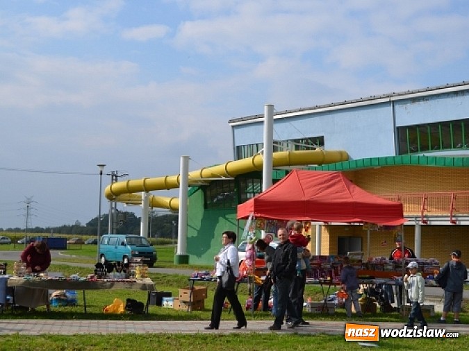 Zdjęcie w galerii na portalu naszwodzislaw.com: Aleja klonów i plac zabaw przy Ośrodku Nautica wiadomości z regionu