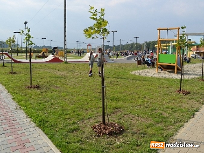 Zdjęcie w galerii na portalu naszwodzislaw.com: Aleja klonów i plac zabaw przy Ośrodku Nautica wiadomości z regionu