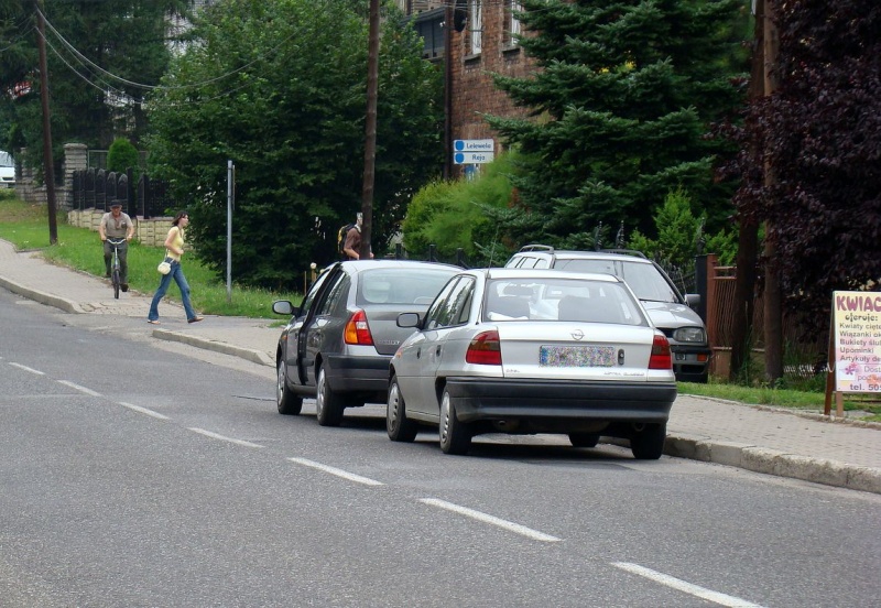 Zdjęcie w galerii na portalu naszwodzislaw.com: Przez drób blokują drogę wiadomości z regionu