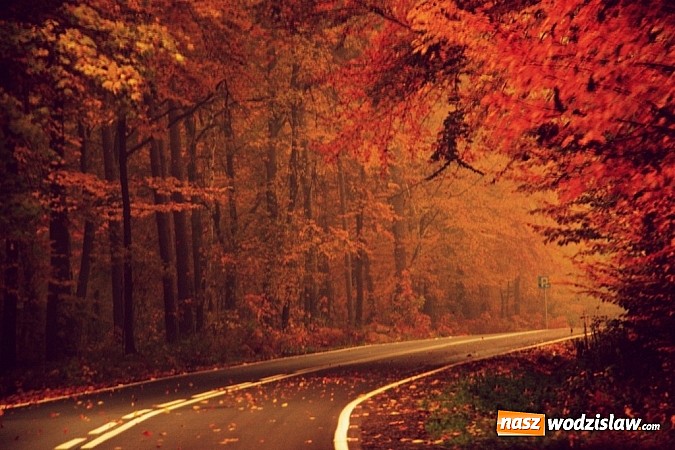 Zdjęcie w galerii na portalu naszwodzislaw.com: Najlepiej uchwycili pozytywne zmiany w powiecie wodzisławskim wiadomości z regionu